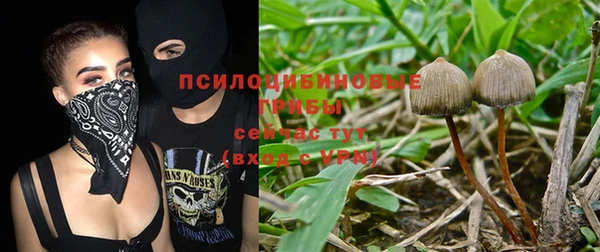 кокс Иннополис