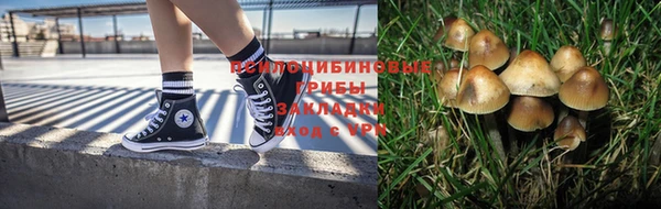 кокс Иннополис